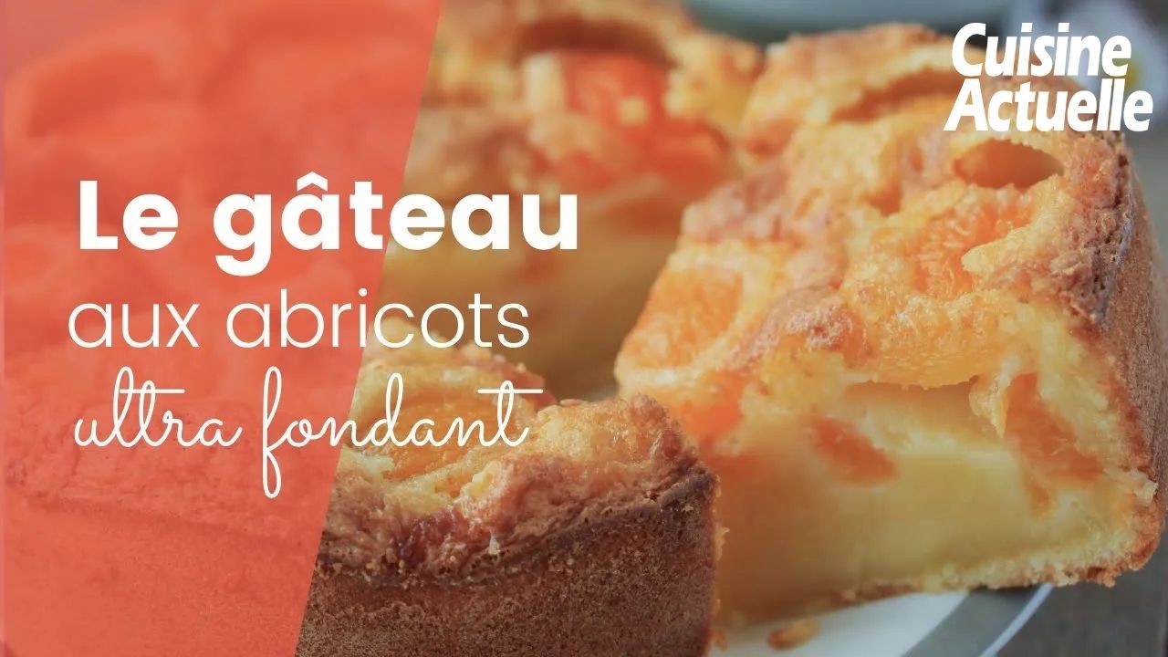 Gâteau Moelleux aux Abricots 🍑 – Recette Facile et Gourmande pour l’Été