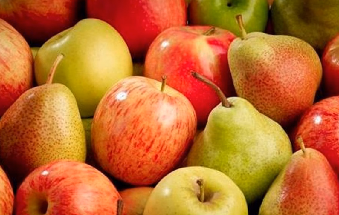 Bienfaits du cidre de pomme : santé et vitalité