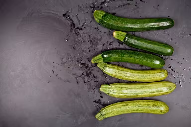 Courgettes rondes : 31 recettes simples et savoureuses pour la saison