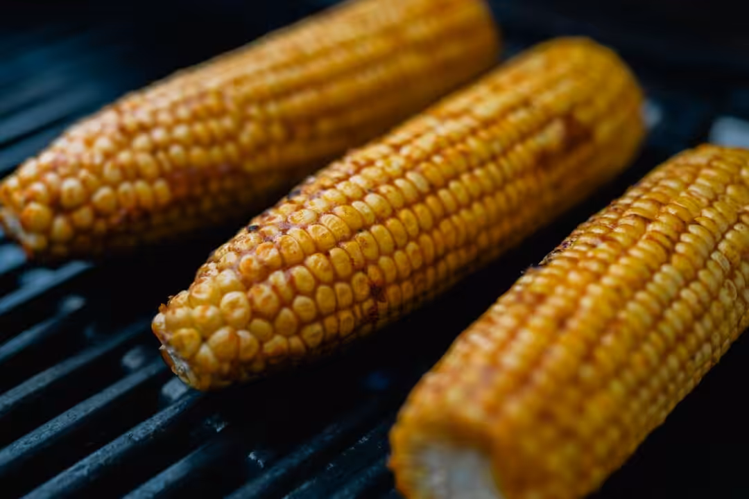 recettes végétariennes au barbecue pour réinventer vos grillades sans viande