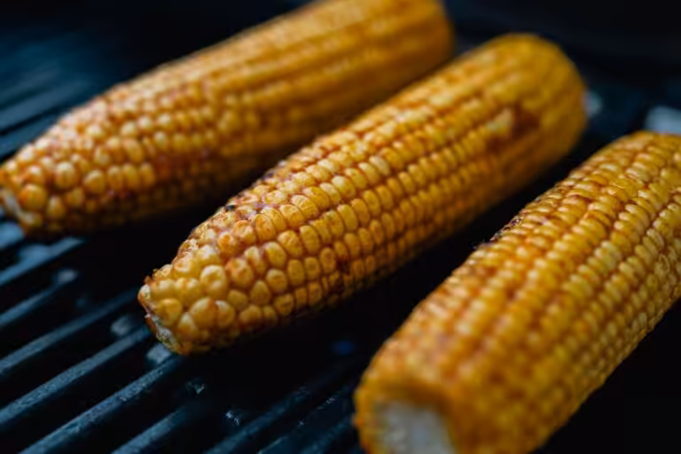recettes végétariennes au barbecue pour réinventer vos grillades sans viande